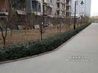 (qing)b M궐M(fi) ]ړɹ 